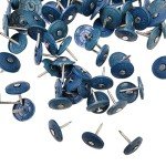 250 Pack of 1-Inch Round Plastic Cap Nails