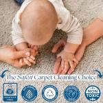 Black Diamond Carpet and Upholstery Cleaner Spray