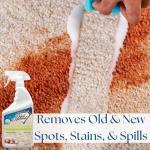 Black Diamond Carpet and Upholstery Cleaner Spray