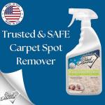Black Diamond Carpet and Upholstery Cleaner Spray