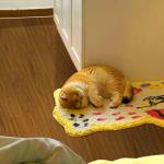 Deep Brown Peel and Stick Vinyl Floor Tiles 36-Pack