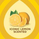 Pledge Wood Wipes - Shines & Protects, 24 Count