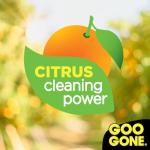 Goo Gone Pro-Power Adhesive Remover - 32 Oz