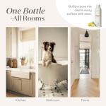 Thieves Household Cleaner | Multi-Surface Plant-Based Solution