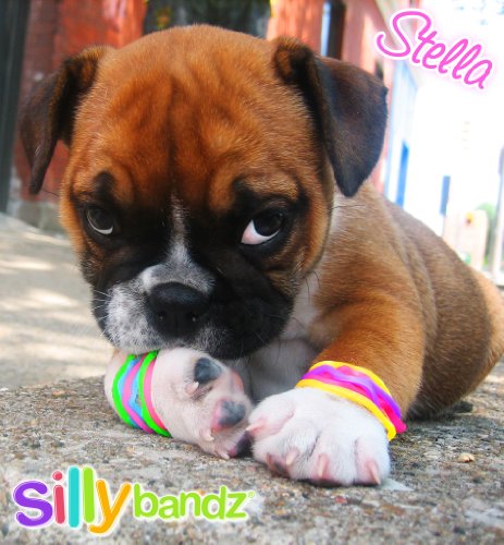Silly Bandz Save The Gulf Bracelets