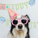 Rainbow Party Hats for Kids - 15 Pack