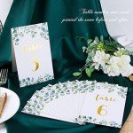 Eucalyptus Double-Sided Wedding Table Numbers 1-12
