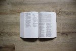 NIrV, Children’s Holy Bible, Paperback