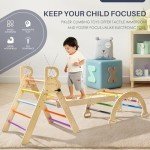 BlueWood Pikler Triangle Set, Foldable Wooden Climbing Toys Set, Indoor Playground Jungle Gym, Montessori Climbing Set for 2-6 Years Old, Toddlers, Baby, Kids (Rainbow)