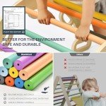 BlueWood Pikler Triangle Set, Foldable Wooden Climbing Toys Set, Indoor Playground Jungle Gym, Montessori Climbing Set for 2-6 Years Old, Toddlers, Baby, Kids (Rainbow)