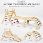 BlueWood Pikler Triangle Set, Foldable Wooden Climbing Toys Set, Indoor Playground Jungle Gym, Montessori Climbing Set for 2-6 Years Old, Toddlers, Baby, Kids (Rainbow)