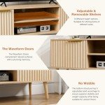 Modern TV Stand with Open Shelves and Cabinets