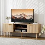 Modern TV Stand with Open Shelves and Cabinets