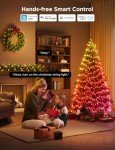 Govee 99FT Smart RGBWIC Christmas Lights
