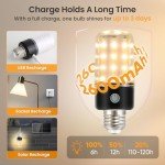 Rechargeable Remote-Controlled Bright Light Bulb