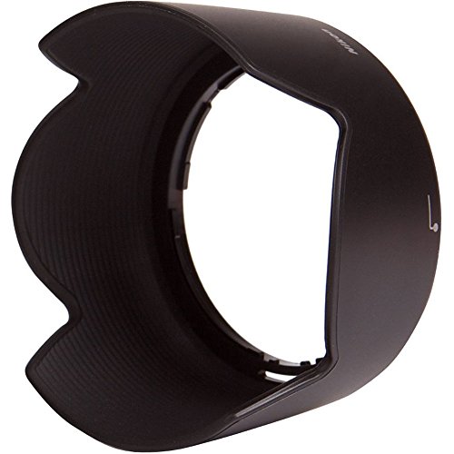 Nikon 55-200mm F4-5.6 DX Zoom Lens