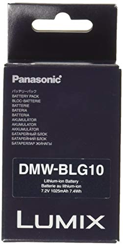 Panasonic Lumix 7.2V Li-Ion Battery Pack