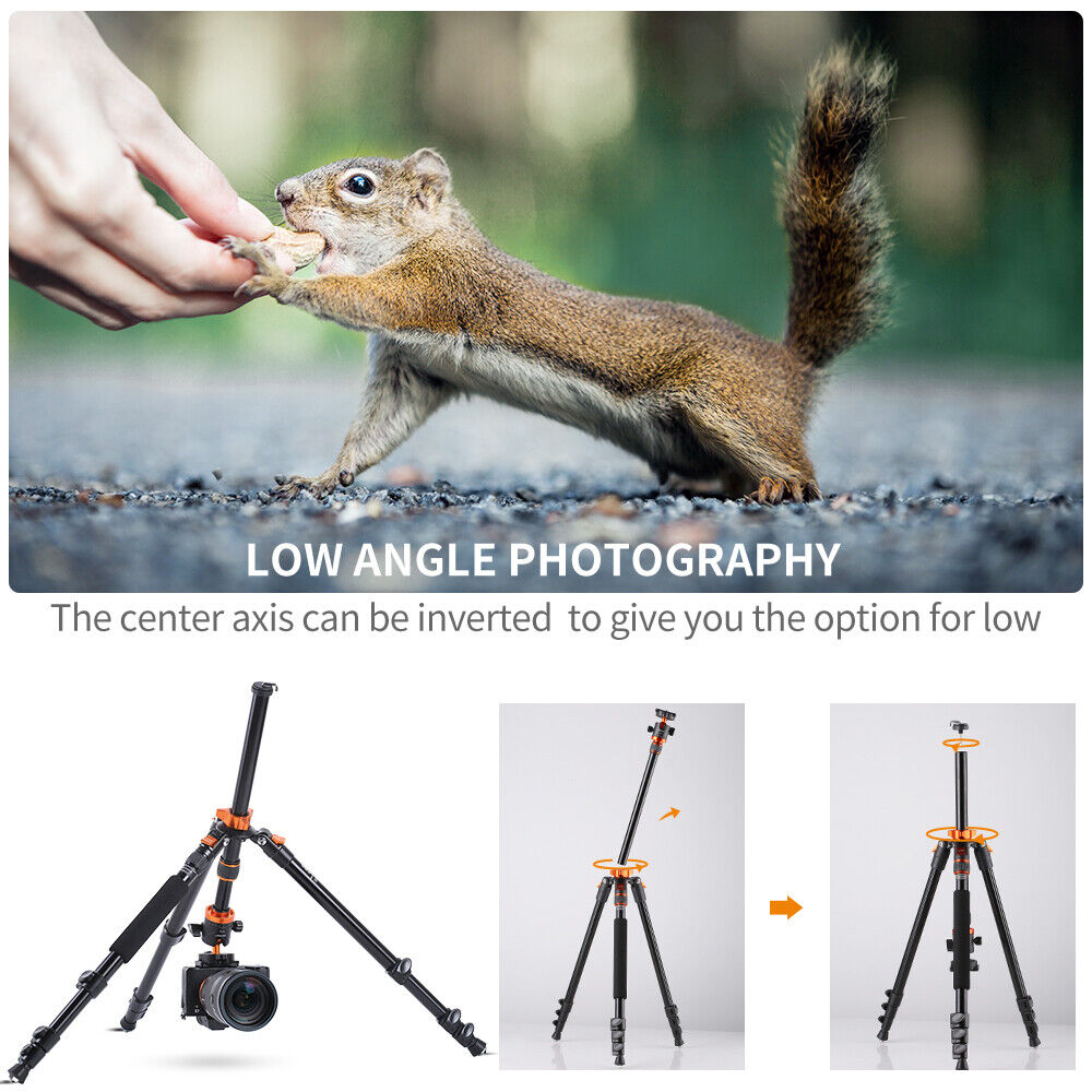 K&F Concept 78" Aluminum Camera Tripod with Ball Head