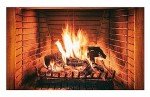 Funnytree 5 x 3 FT Winter Photography Backdrop Burning Firewoods Christmas Fireplace Woods Flaming Background for Children Kids Family Camping Barbeques Party Decor Banner Portrait Photo Booth