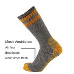 Colorful Cushioned Merino Wool Socks for Men