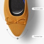 Shupua Women's Colorful Bow Pointed Toe Flats