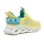 Colorful Women's Casual Mesh Walking Sneakers