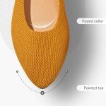 Colorful Women's Comfortable Pointed Toe Flats