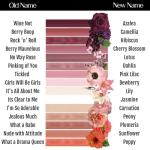 BaeBlu Organic Vegan Jasmine Lip Gloss