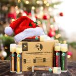Organic Lip Balm Set by Earth's Daughter - 6 Pack