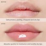 Natural Hydrating Lip Balm Set – 4 Pack
