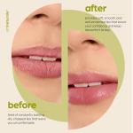 ArtNaturals Organic Beeswax Lip Balm Set - 3 Flavours