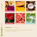 ArtNaturals Organic Beeswax Lip Balm Set - 3 Flavours