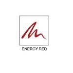 Energy Red Liquid Lip Liner | Organic Beauty