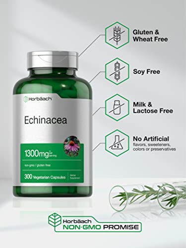 Echinacea Extract Capsules 1300mg | 300 Count | Horbaach