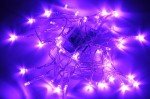 40 LED Purple Fairy Lights