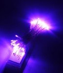 40 LED Purple Fairy Lights