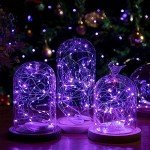 220 LED Purple Fairy Lights (25m)