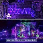 220 LED Purple Fairy Lights (25m)