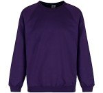 Purple Crew Neck Sweatshirt for Teens by Trutex