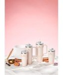 Stanley Quencher 40 Oz Stainless Steel Tumbler - Rose Quartz