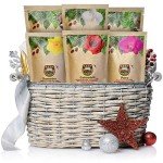 Organic Coffee Sampler Pack - 6 Whole Bean Bags