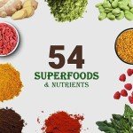 UpNourish Vegan Chocolate Protein Powder with Probiotics