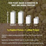 UpNourish Vegan Chocolate Protein Powder with Probiotics