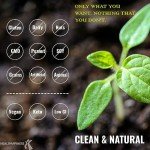 UpNourish Vegan Chocolate Protein Powder with Probiotics