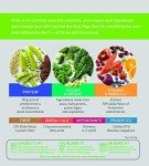 Vega One Mixed Berry Protein Powder, 850g