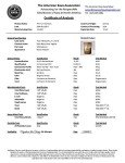 Premium Samoan Kava Powder - 8 oz