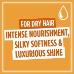 L'Oreal Elvive Extraordinary Nourishing Hair Oil 100ml