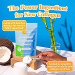 GOLDE Vanilla Cream Collagen Boost Vegan Creamer