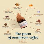 Beyond Brew Mushroom Coffee with Prebiotics & Probiotics