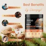 10 in 1 Mushroom Coffee for Focus & Energy